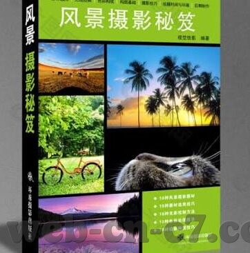 球盘足球比分-揭秘球盘足球比分，数据背后的博弈与智慧