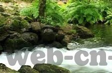 世界足球怀比分-世界足球赛比分，绿茵场上的数字交响曲