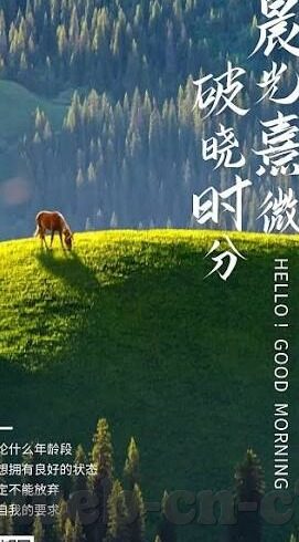 以乙足球比分直播-乙级联赛风云录,实时比分直播背后的热血与梦想
