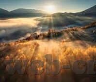 足球004比分结果-足球004比分结果，绿茵场上的悬念与激情交织