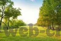 足球比分90vs足球比分百度一-足球比分90vs足球比分百度一，探寻足球比分查询的多元路径与价值差异