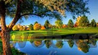 足球比分直播最快-足球比分直播最快，畅享绿茵激情的极速通道